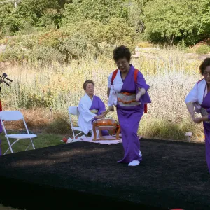 Japanese-style Summer Solstice Celebration to benefit ShinKanAn Teahouse