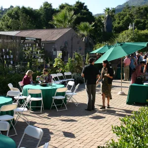 Japanese-style Summer Solstice Celebration to benefit ShinKanAn Teahouse