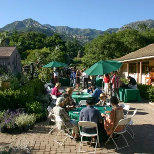 Japanese-style Summer Solstice Celebration to benefit ShinKanAn Teahouse