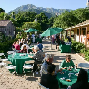 Japanese-style Summer Solstice Celebration to benefit ShinKanAn Teahouse