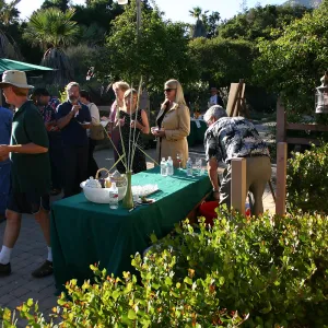 Japanese-style Summer Solstice Celebration to benefit ShinKanAn Teahouse