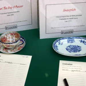 Japanese-style Summer Solstice Celebration to benefit ShinKanAn Teahouse, auction items