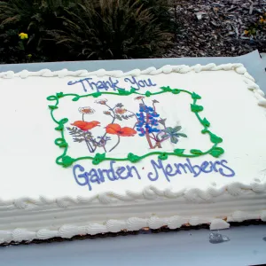 Cake, Members Picnic 2018