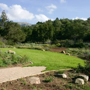 Site where Toad Hall will be constructed