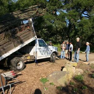 Toad Hall Construction, delivering saplings