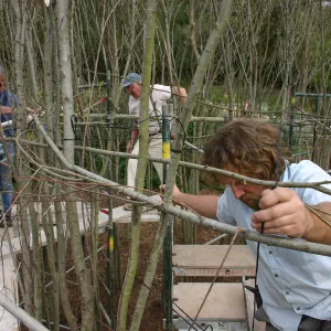 Toad Hall construction