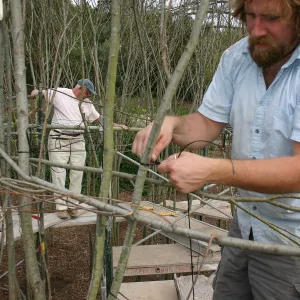Toad Hall construction