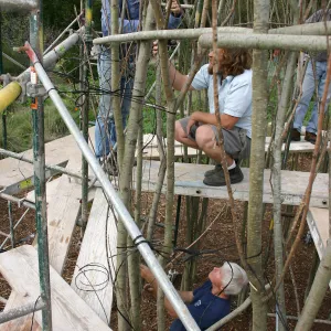 Toad Hall construction