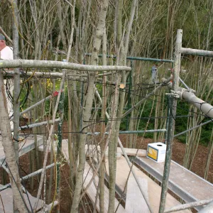 Toad Hall construction