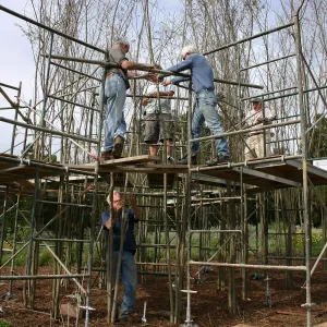 Toad Hall construction