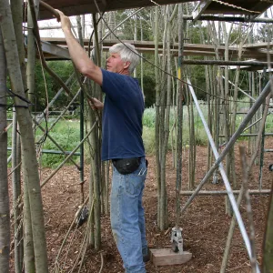 Toad Hall construction
