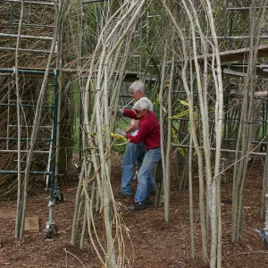 Toad Hall Construction