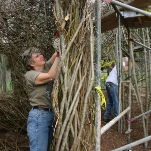 Toad Hall Construction