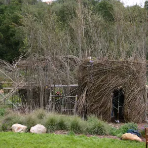 Toad Hall Construction