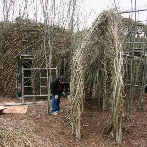 Toad Hall Construction