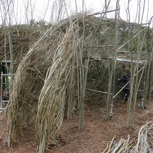 Toad Hall Construction