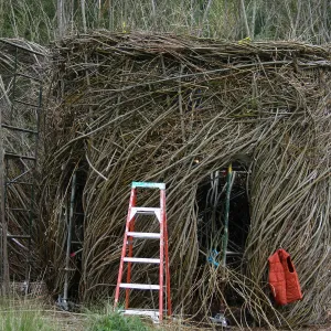 Toad Hall Construction