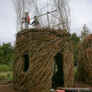 Toad Hall Construction