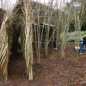 Toad Hall Construction