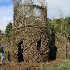 Toad Hall Construction