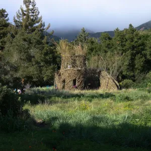 Toad Hall Construction