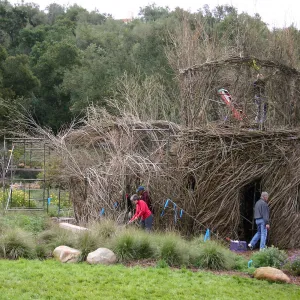Toad Hall Construction