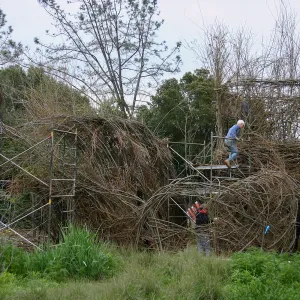 Toad Hall Construction