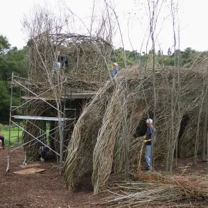 Toad Hall Construction
