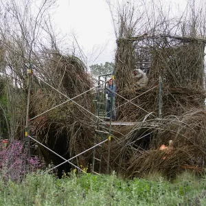 Toad Hall Construction