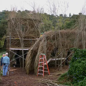 Toad Hall Construction