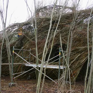 Toad Hall Construction