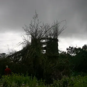 Toad Hall Construction