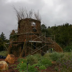 Toad Hall Construction