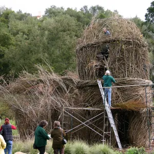 Toad Hall Construction