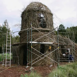 Toad Hall Construction