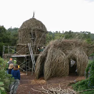 Toad Hall Construction