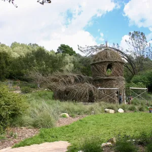 Toad Hall Construction
