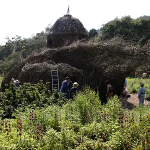 Toad Hall Construction