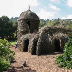 Toad Hall Construction