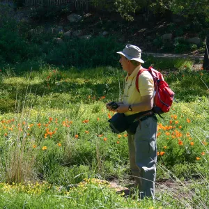 Patrick O'Hara in the Meadow