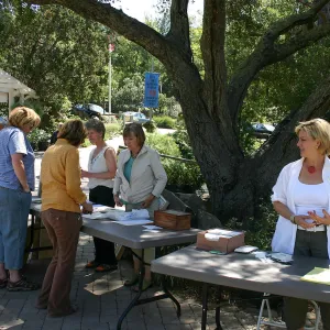 SCAPE art show and sale, artist registration