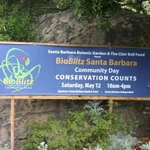 BioBlitz, Santa Barbara, Community Day, Conservation Counts