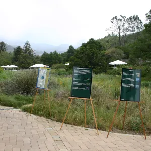 BioBlitz, signage, meadow