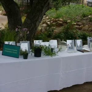 BioBlitz, Extinction is Forever, Conservation Counts display
