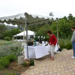 BioBlitz, Intoxicating Plants display