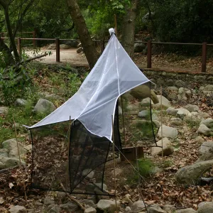 BioBlitz, Redwood section