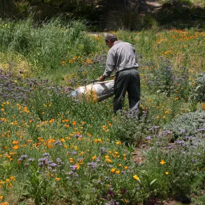 BioBlitz, insect collecting, Meadow