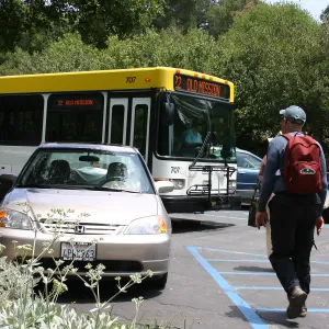 BioBlitz, Parking lot