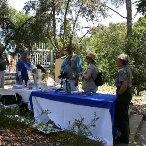 BioBlitz, Channel Islands National Marine Sanctuary display