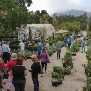 Fall Plant Sale 2018 Preview Party